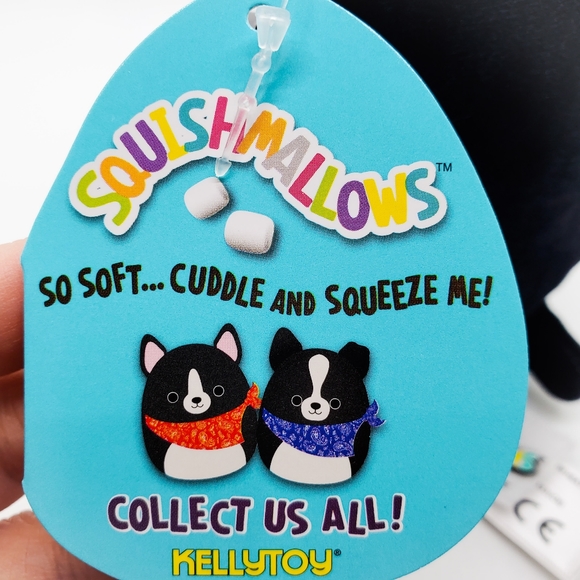 5" Squishmallow Teddy black dog with red bandana - Picture 4 of 4